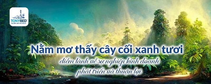 Cây xanh tươi, đang bừng nở