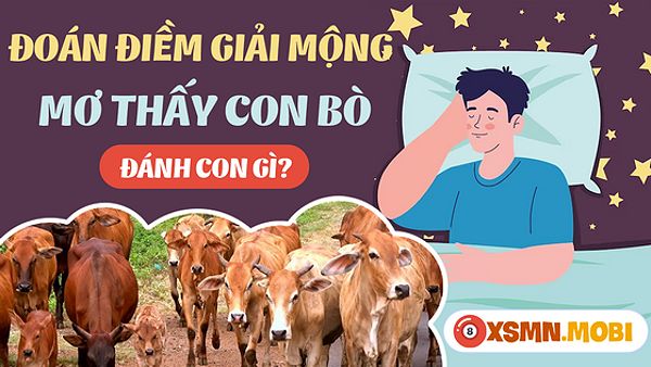 Mơ thấy bò đánh lô đề bao nhiêu?