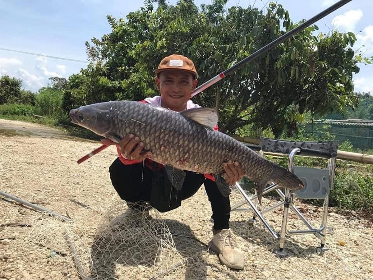 Mơ thấy câu cá nguyên vẹn