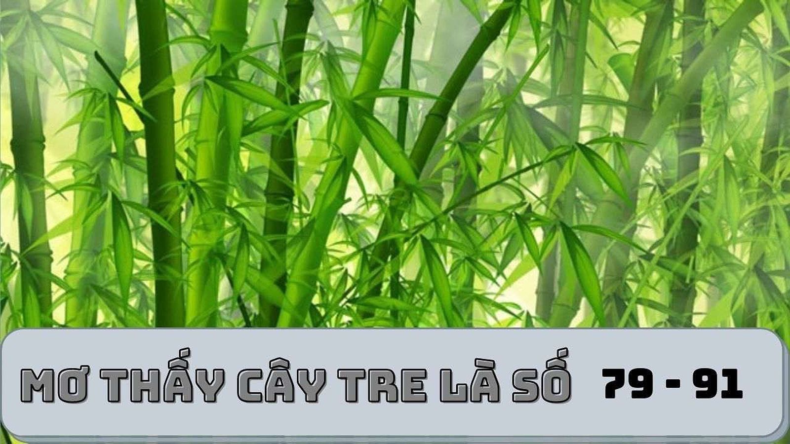 Mơ thấy thu hoạch nhiều tre