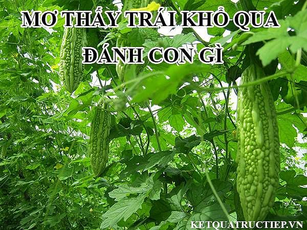 Mơ thấy trái khổ qua đánh con gì đánh số mấy