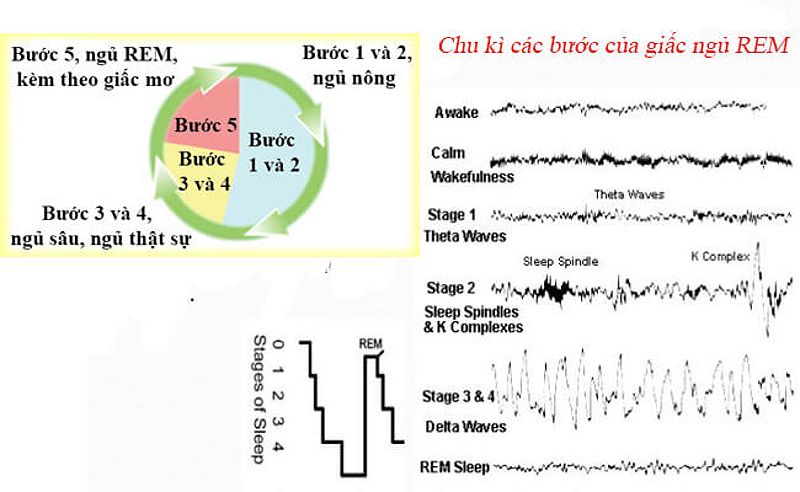 Ngủ mơ về việc ngủ ngoài đường trong đêm trăng sáng