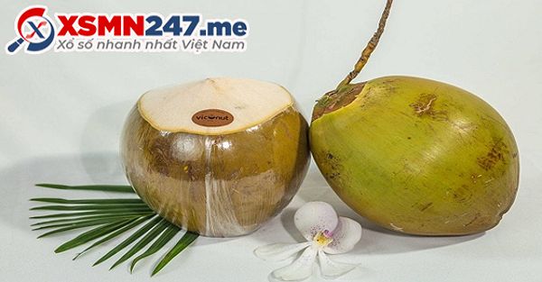 Số may mắn liên quan đến giấc mơ thấy trái dừa khô