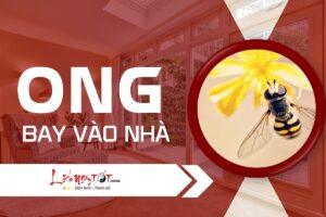 Vỡ Gương Là Điềm Gì? Giải Mã Quan Niệm Và Cách Hóa Giải