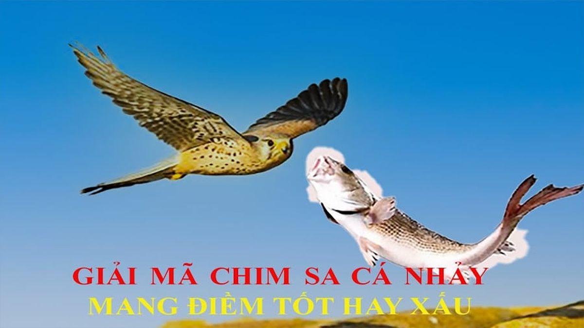 Chim sa tận nơi không bắt, cá nhảy tận bờ không ăn