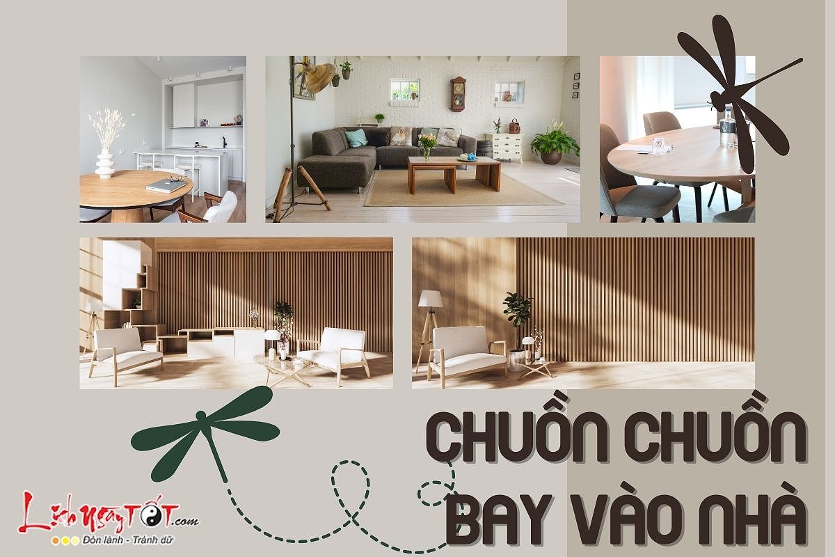 Chuồn chuồn bay vào nhà, biểu tượng của sự tự do và may mắn.