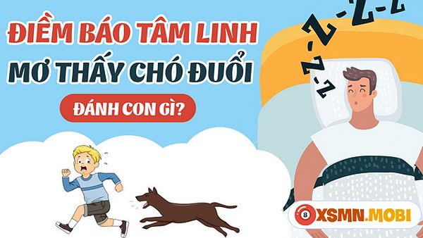 Con số may mắn của giấc mơ về chó đuổi là gì?