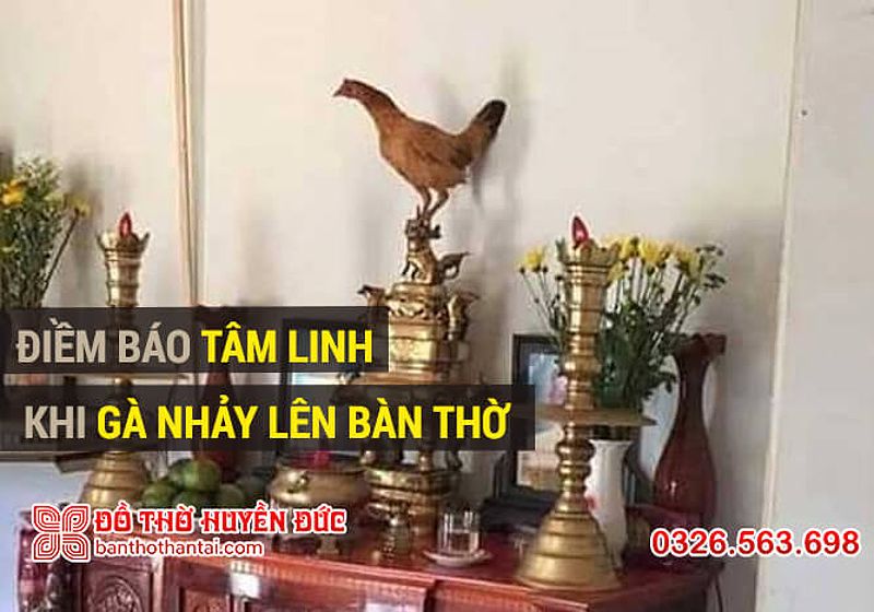 Điềm báo tâm linh khi gà nhảy lên bàn thờ