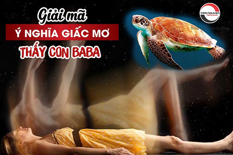 Giải mã giấc mơ thấy ba ba