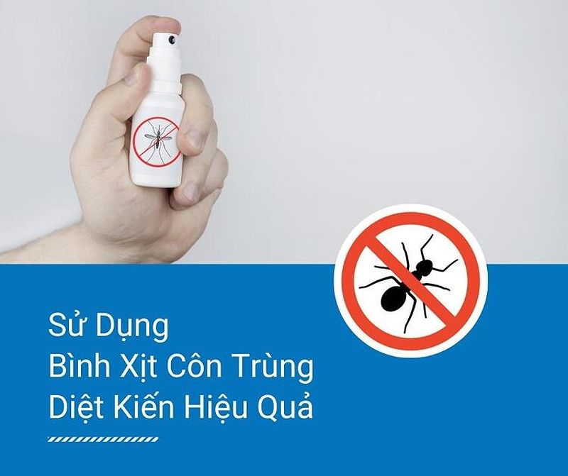 Hình ảnh bình xịt côn trùng để tiêu diệt kiến trên giường.