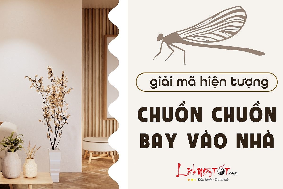 Hình ảnh chuồn chuồn bay vào nhà, biểu trưng cho sự phát triển và thịnh vượng.