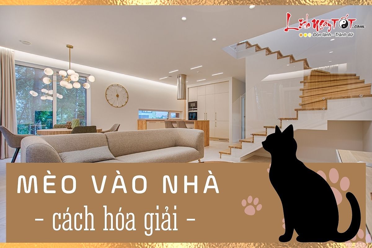 Hình ảnh hóa giải hiện tượng mèo vào nhà, với các phương pháp phong thủy như sử dụng muối.