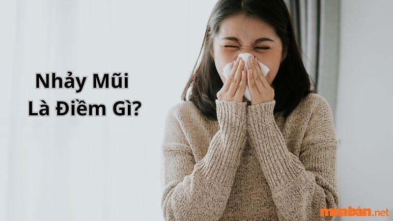 Hình ảnh minh họa cho điềm báo nhảy mũi (hắt xì hơi) là gì?