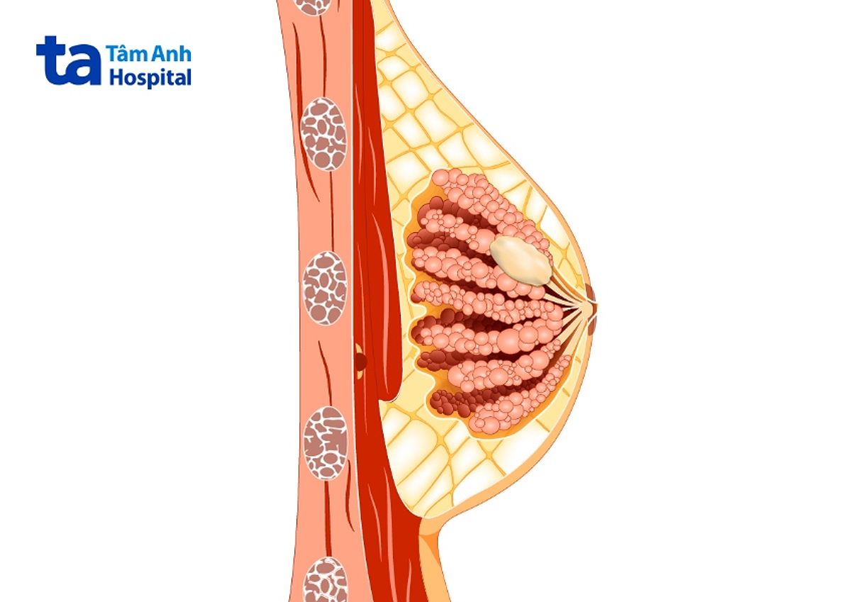 Hình ảnh mô tả tình trạng ngứa đầu ti với dấu hiệu có thể là nhiễm trùng nấm men.