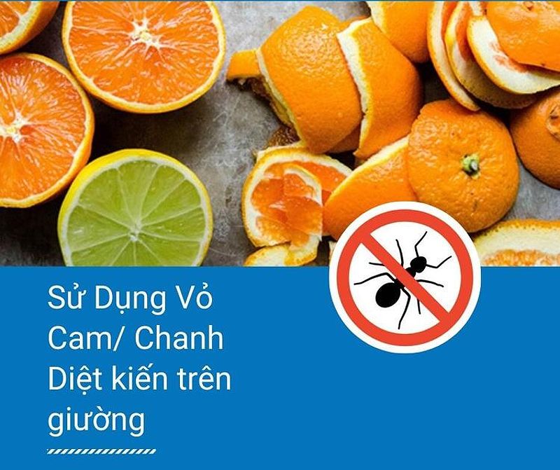 Hình ảnh sử dụng vỏ cam hoặc chanh để diệt kiến trên giường.