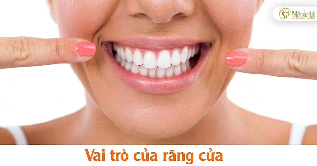 Hình ảnh thể hiện vai trò của răng cửa trong việc tiêu hóa thức ăn.