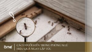 Ủi Quần Áo Bị Cháy Là Điềm Gì? Hướng Dẫn Khắc Phục & Phòng Ngừa