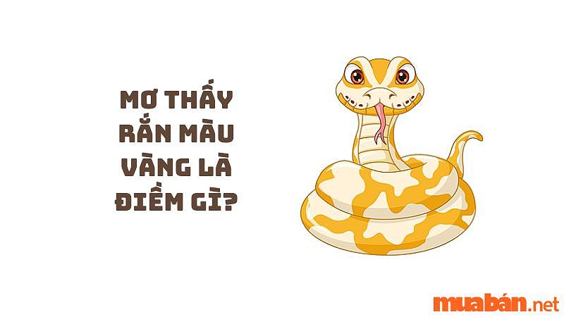 Mơ thấy rắn cắn không chảy máu phản ánh sự lo lắng không có thực thể.