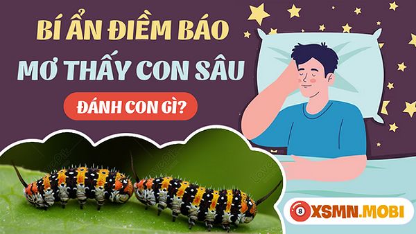 Mua số gì dễ trúng khi mơ thấy con sâu?